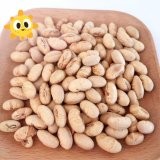 Quality Natural healthy OEM Roasted Salted Soya Bean Snacks Handpicked Vegan Beans for sale