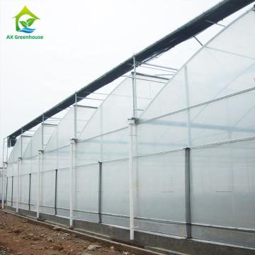 Quality OEM Sawtooth PO PE Plastic Film Greenhouse For Strawberries for sale