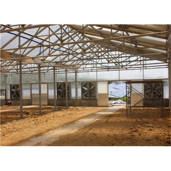 Quality Roof Mounted Greenhouse Solar System Photovoltaic Power Plants Agricultural for sale