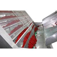 Quality 0.2 To 0.5mPa Steam Air Recycling Red Dates Mesh Belt Dryer Machine For Fruit for sale