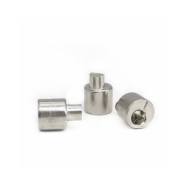 Quality Eccentric Adjusting Stainless Steel Screw Rear Axle 4.9X13 Polished SUS304 for sale