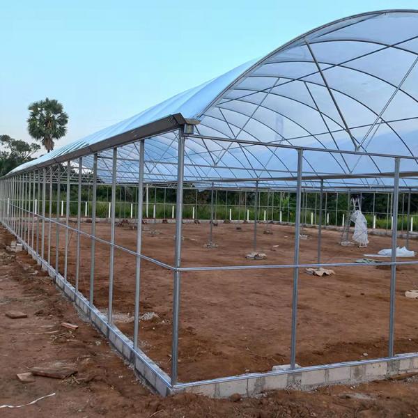Quality Reasonable Cost Plastic Film Greenhouse 0.12mm-0.2mm Thickness for sale