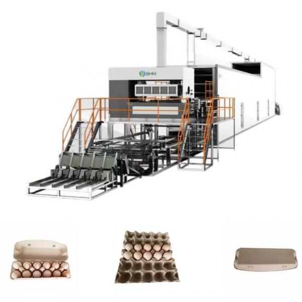 Quality Custom Paper Tray Making Machine Long Lasting For Egg Trays Boxes for sale