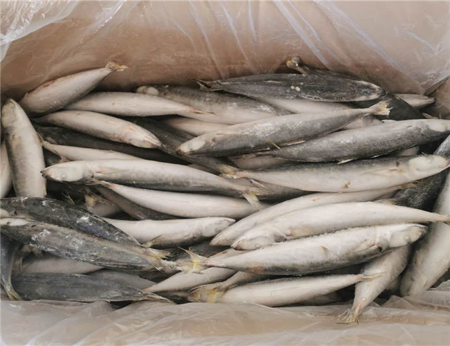 China IQF Frozen 90g 100g Muroaji Fish With 24 Months Shelf Life factory
