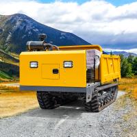 Quality Heavy Duty Diesel Powered Mini Crawler Dumper 3t Capacity For Any Project for sale