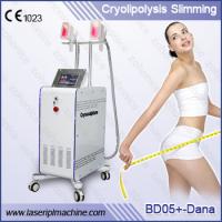 China Fat Freezing Cryolipolysis Slimming Machine With Two Handles and Touch screen factory