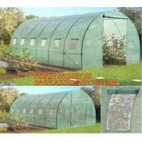 China polycarbonate plastic sheet agricultural mini garden green house,plastic walk in dome garden green house, SUPPLIES, PAC factory