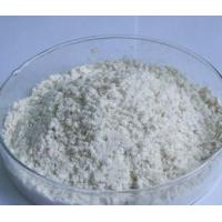 China 100% Natural Diosgenine Wild Yam Herb Extract  Diosgenine powder factory