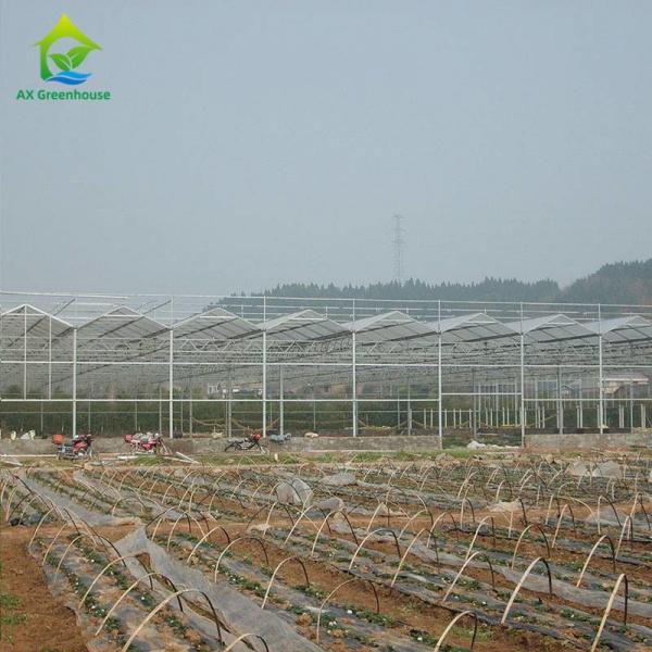 Quality OEM Flowers Polycarbonate Sheet Greenhouse Transparent Tropical Fruit Greenhouse for sale