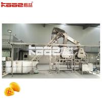 China High Efficiency Mango Juice Processing Plant Line Automatic Grade factory
