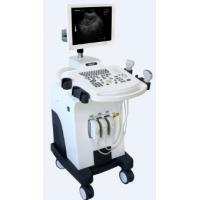 China Middle-end Trolley BW Veterinary Ultrasound Scanner for sale