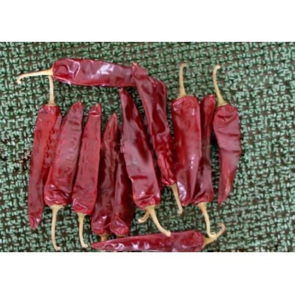 Quality 220 ASTA Sweet Paprika Pepper for sale