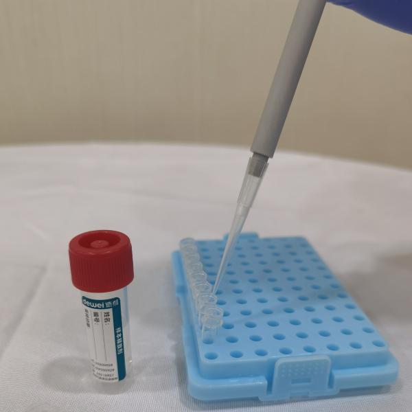 Quality Sample Release Kit Flocked Swab RNA Preservation and Extraction Tube Directly on PCR Amplification for sale