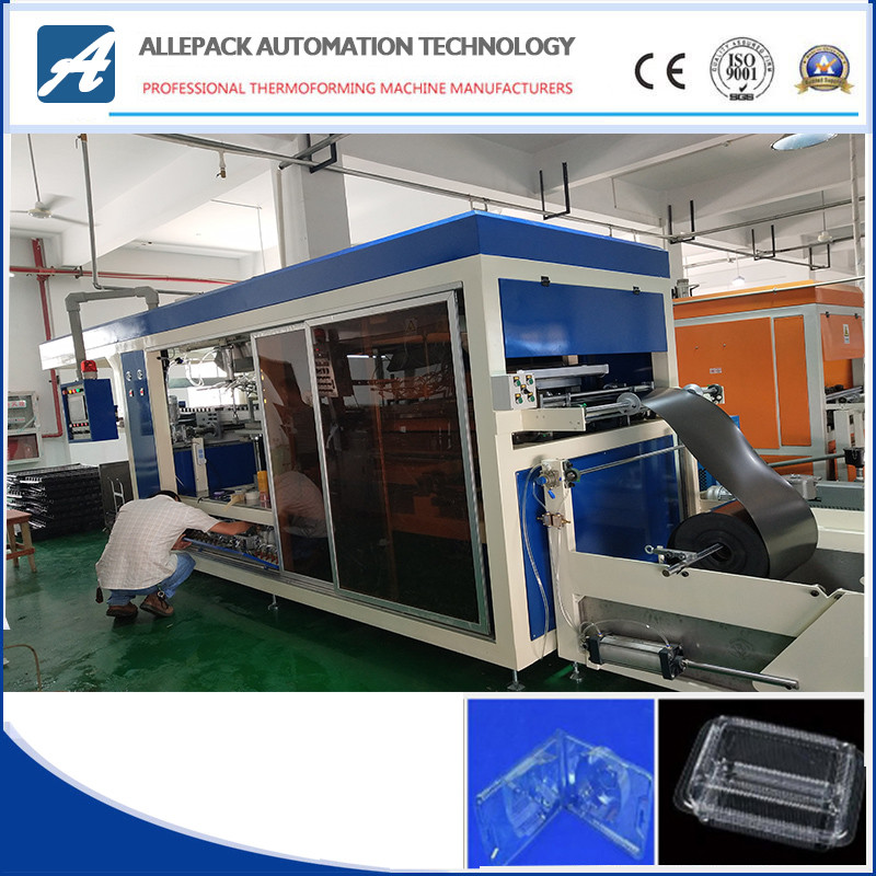 china Full Automatic Driving Plastic Thermoforming Machinee For Fruit Clamshell Box