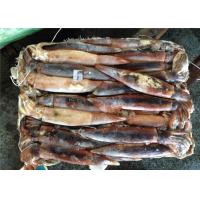 China BQF 200G 300G Good Color Whole Round Fresh Frozen Squid factory