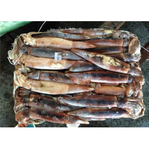 Quality BQF 200G 300G Good Color Whole Round Fresh Frozen Squid for sale