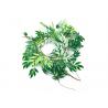 China Multiple Colors Fake Plant Decor Artificial Willow Indoor And Outdoor Faux Ivy & Trails factory