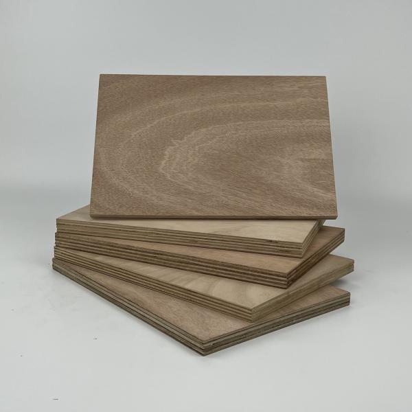 Quality Furniture Hardwood Veneer Plywood 2440x1220x18mm Mildewproof for sale