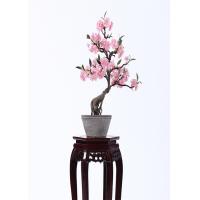 China Plastic Outdoor Bonsai Tree Fire Retardant Fabricated Tropical Landscapes for sale