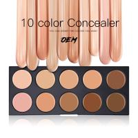 China Custom Face Makeup Concealer Palette Long Lasting 10 Color For Daily Use factory