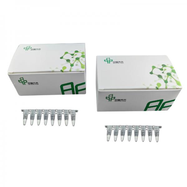 Quality Basic RNA Amplification Kit Stable Easy Operate 14 Months Validity for sale