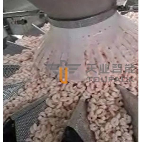 Quality SUS 304 Frozen Food Packing Machine Auto Weighing System CE Certificate for sale