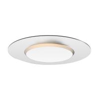 China High Transmittance CCT Adjustable Smart LED Ceiling Light With Night Light factory