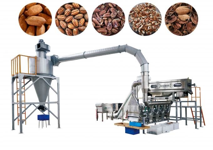 China Intelligent Nuts Processing Machine 380V 50Hz For Pecan factory