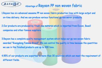 China Factory - Foshan Rayson Non Woven Co.,Ltd