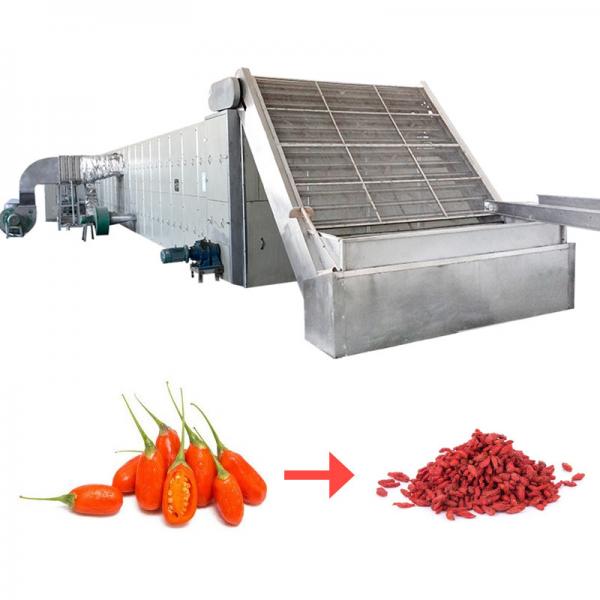 Quality Multifunctional Mesh Belt Dryer Machine Stainless Steel Delicate Treatment Fruit for sale