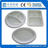 Quality Clamshell Food Packing Container Making Machine 20t Paper Tray Forming for sale