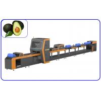 Quality Large Yield 50Hz Fruit Sorting Machine Intelligent Avocado Sorting Machine for sale