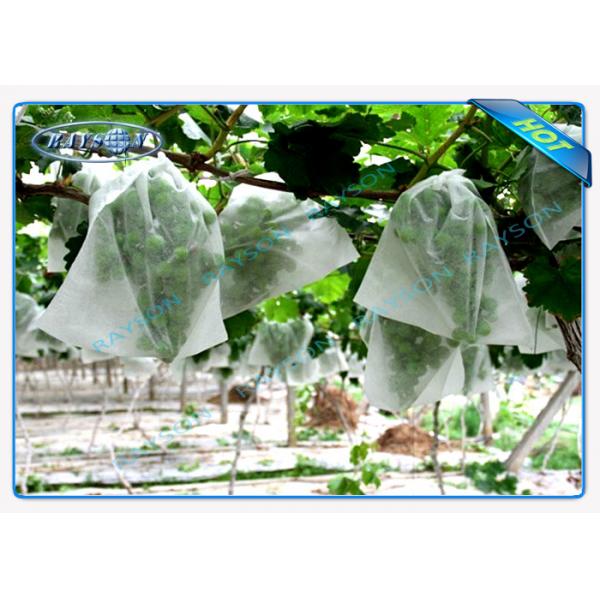 Quality Soft Feeling Polypropylene Non Woven Fabric Landscape Crop Cover for sale