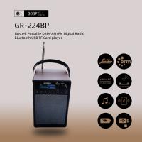 China World Band Portable Digital Radio Player Gospell DRM Receiver factory