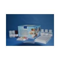 Quality Aflatoxin 40min 0.05ng/G Colorimetric Mycotoxin ELISA Kit for sale
