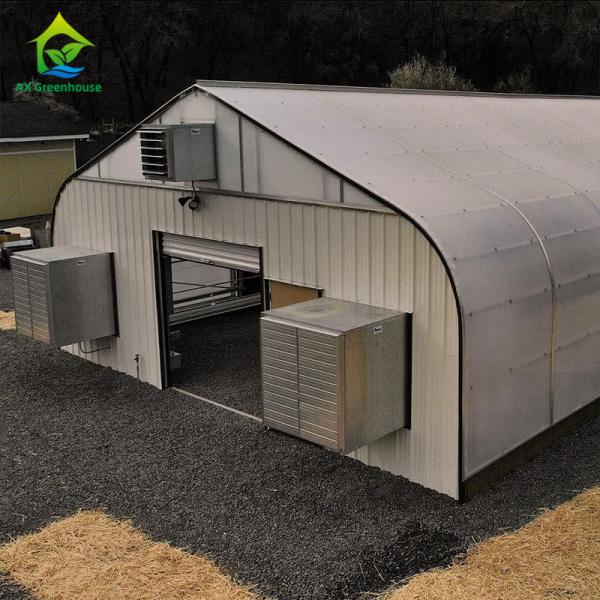 Quality Auto Light Deprivation Greenhouse 30ft*100ft Backyard Greenhouse For Vegetables for sale