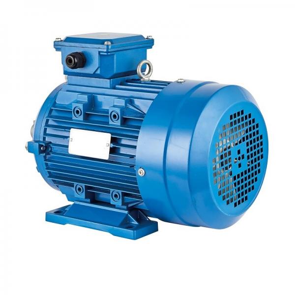 Quality 3000rpm Permanent Magnet Synchronous Motor for sale