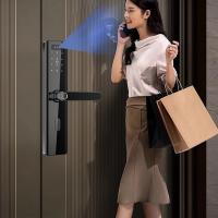Quality Facial Recognition Smart Handle Door Lock Digital Code Card NFC Biometric Access for sale