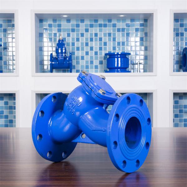 Quality DIN Ductile Cast Iron Y Type Strainer Filter Pn16 Flanged Blue Drinking Water for sale