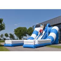 China Blue / White Tunnel Commercial Inflatable Slide Safety Giant Inflatable Slide Rental factory