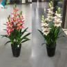 China Fabric Floral Artificial Orchid In Pot For Indoor Home Decoration 1m Height factory