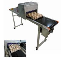 China Eggs Inkjet Date Code Printer For Expiry Date , Batch Code Stamping Machine factory