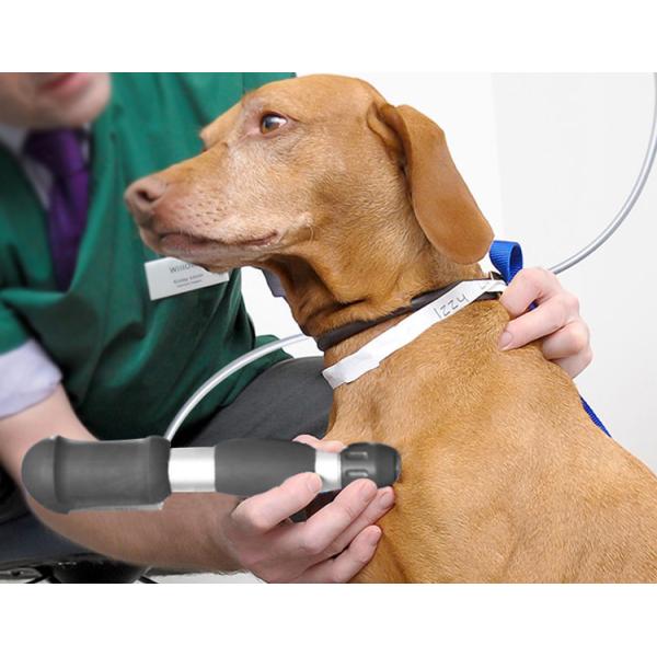 Quality Veterinary Chiropractic & Animal ESWT Machine Acoustic Wave Massager for sale