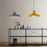 China Designer Decorative Hanging Pendant Light for Living Room factory
