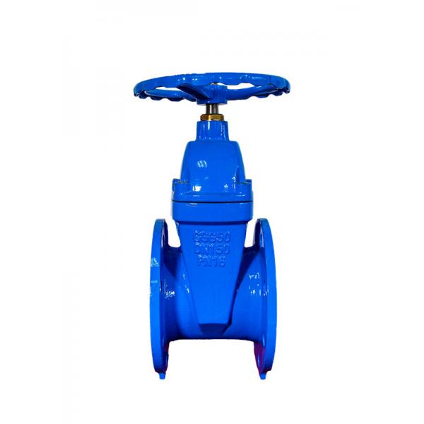 Quality Rising Stem Resilient Seated Valves Sewer Gate Valve F4 CE/ISO Certified for sale