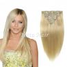 China Brazilian Straight Clip In Pre Bonded Hair Extensions No Any Bad Smell factory