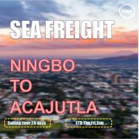 China Ningbo To Acajutla Salvador Global Ocean Freight Brokers 3 Shifts Per Week factory