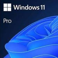 China Windows 11 Pro Oem Retail 1User Activation Key factory