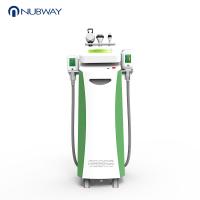 China 2019 For professional salon use Nubway 5 handles Cryolipolysis slimming machine fat freeze body slimming machine factory