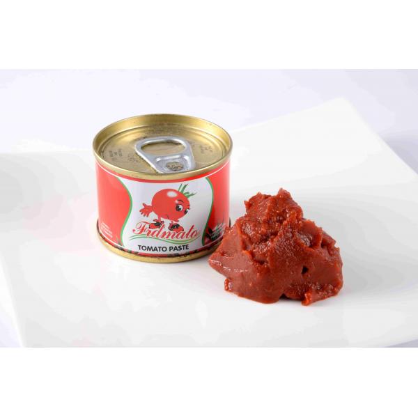 Quality Excellent Fine Taste Double Concentrated Tomato Paste Normal Open Lid for sale